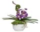 Vanda/Glendale Pot