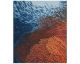 Coral Ocean Outdoor Rug