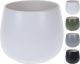 Flower Pot Ceramic - 4 Assorted CLR
