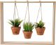 Deco Wood 38X38cm WITH PlantS