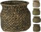 Flowerpot SEAGRAssorted 4Assorted 12X10