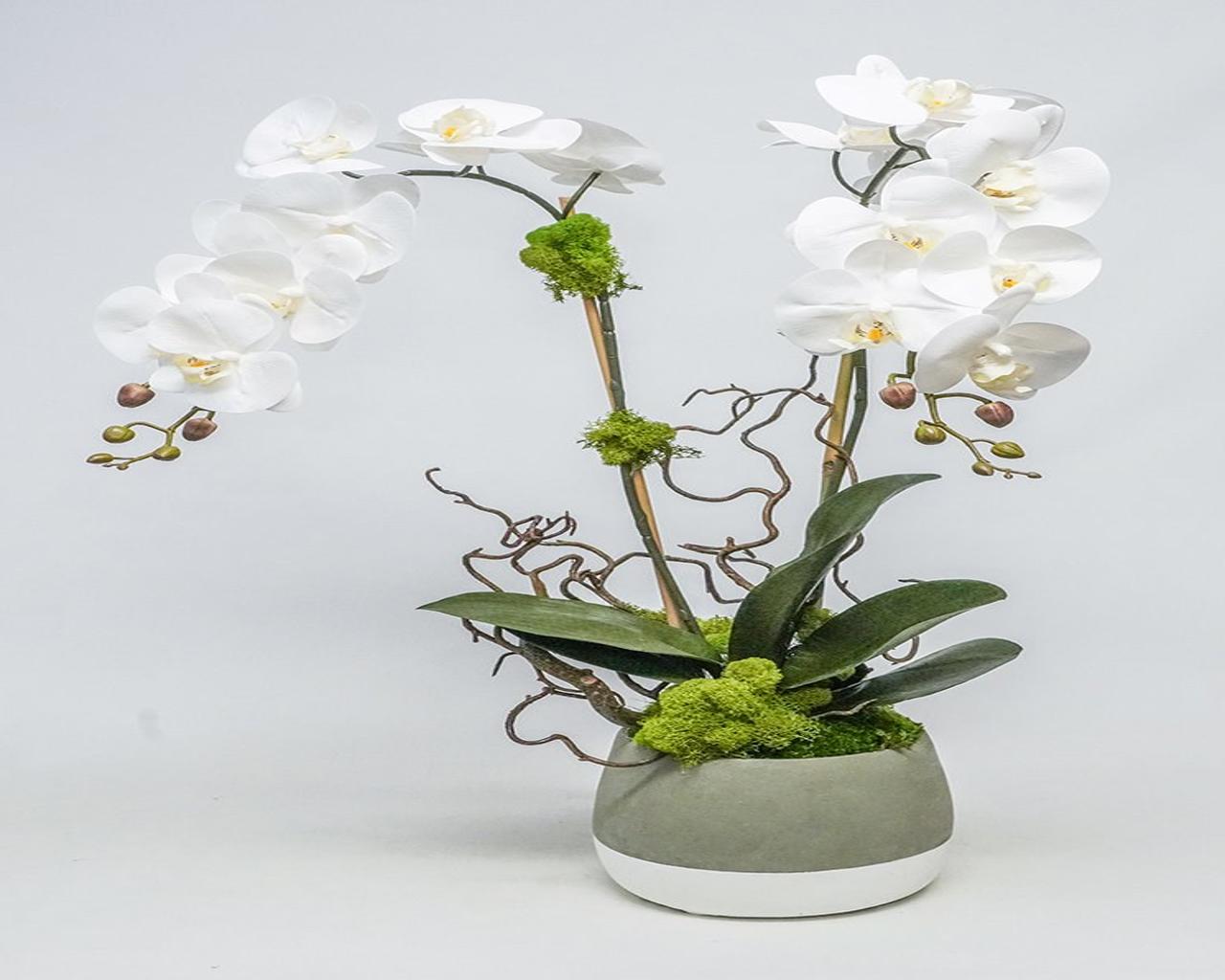 Double Orchid in Ash Pot