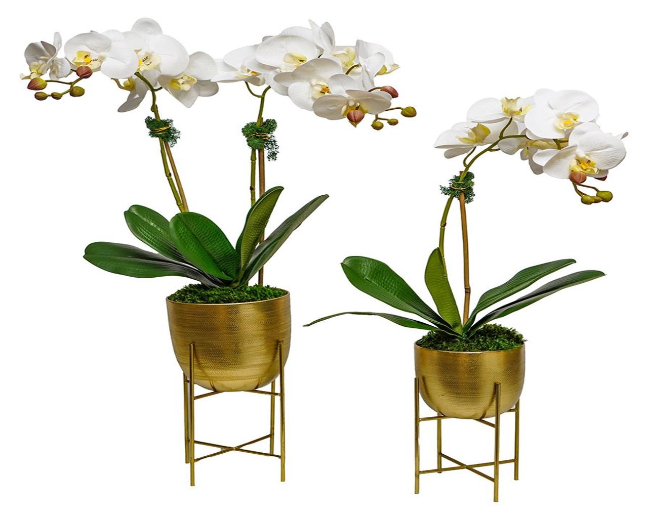 Orchid in Gold Pot with Stand - Small