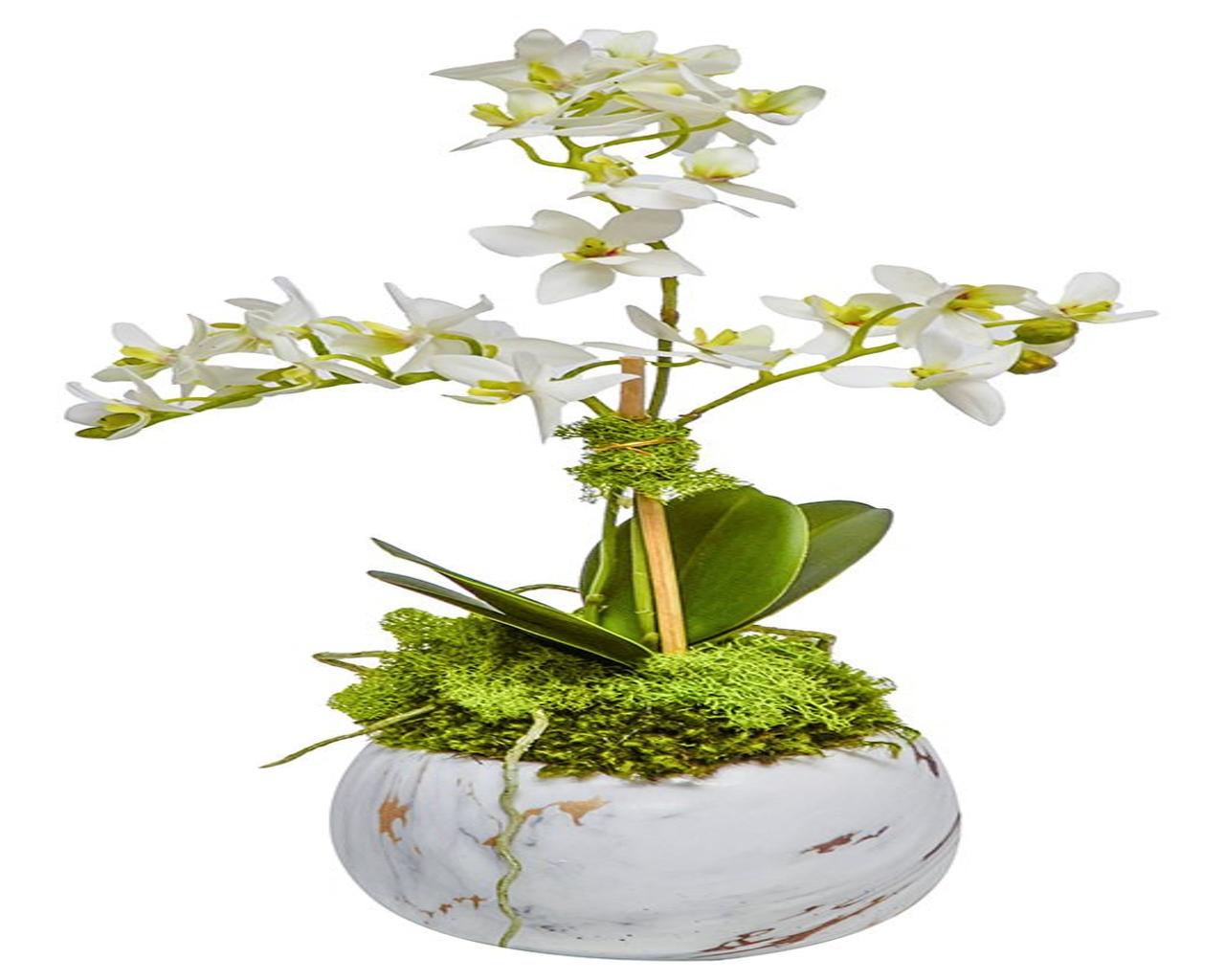 Mini Orchid in Marble Pot