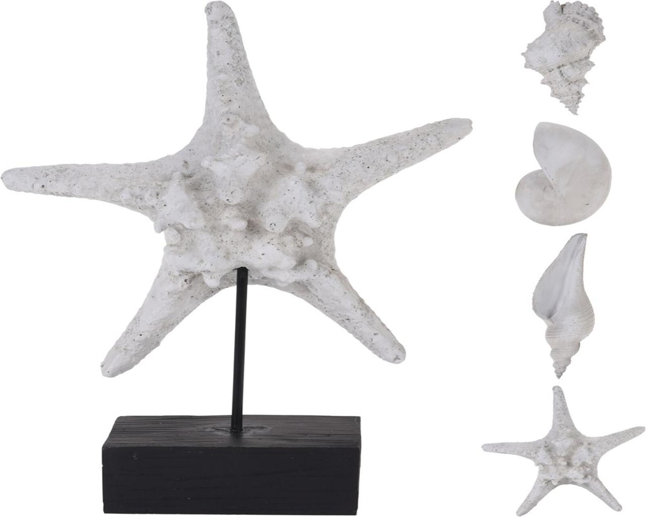 Shelly and Starfish Polystone