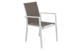 Carolina Dining Arm Chair
