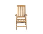 Dover Reclining Chair - Image 3