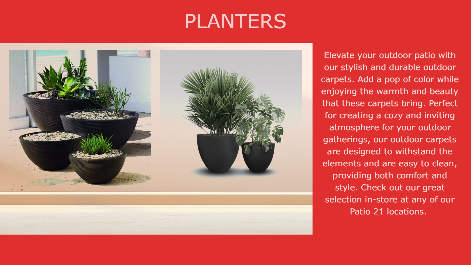 Planters with Verbaige